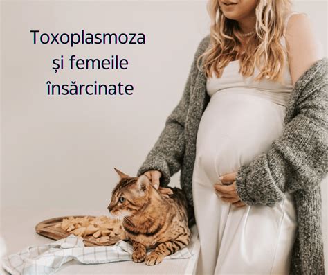 provocari sexuale|Femeile si sexul